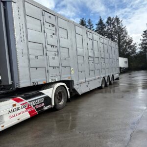 Michieletto Livestock Trailer